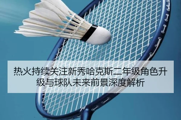热火持续关注新秀哈克斯二年级角色升级与球队未来前景深度解析