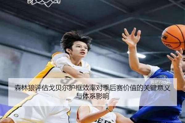 森林狼评估戈贝尔护框效率对季后赛价值的关键意义与体系影响